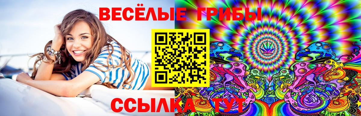 Псилоцибиновые грибы Cubensis  Вход с VPN  Кимры 