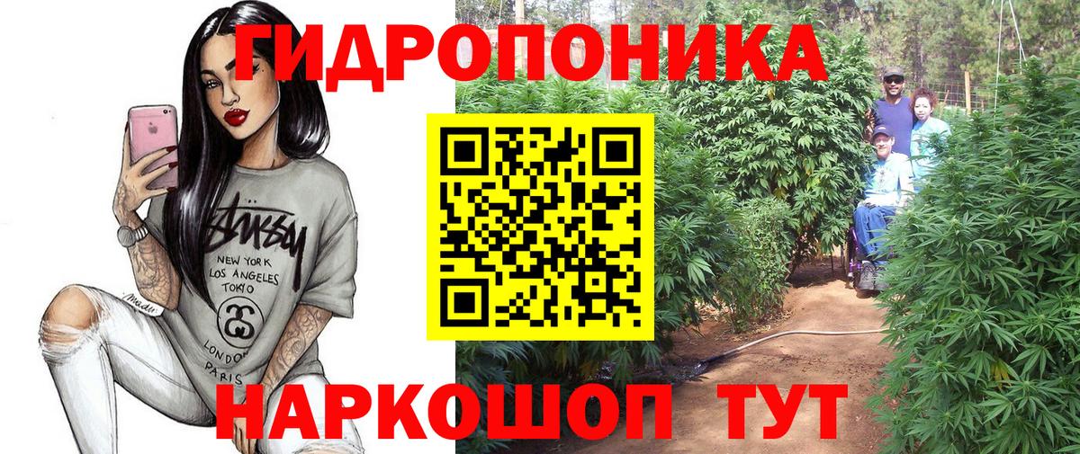 Кимры  Бошки Шишки ГИДРОПОН  Шишки марихуана Bruce Banner  Каннабис White Widow  Вход с VPN 